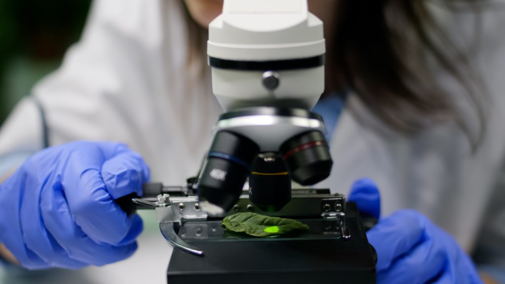 Biotechnik chemik używający mikroskopu